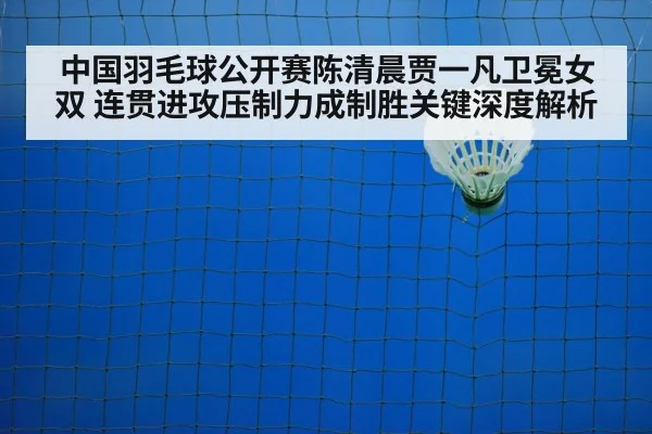 中国羽毛球公开赛陈清晨贾一凡卫冕女双 连贯进攻压制力成制胜关键深度解析